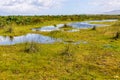 Chiloe National Park, Chile Royalty Free Stock Photo