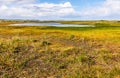 Chiloe National Park, Chile Royalty Free Stock Photo