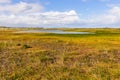 Chiloe National Park, Chile Royalty Free Stock Photo