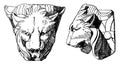 Chimaera Head is shown from its front and side view, vintage engraving