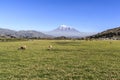 Chimborazo mountain panorama in Ecuador Royalty Free Stock Photo