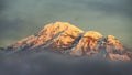 Chimborazo volcano emerging from a bank of clouds at sunrise Royalty Free Stock Photo