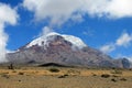 Chimborazo volcano, high andes, Ecuador Royalty Free Stock Photo