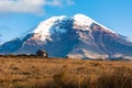 Chimborazo volcano the highest mountain in Ecuador Royalty Free Stock Photo