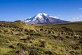 Chimborazo volcano and sheep Royalty Free Stock Photo