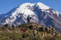 Chimborazo volcano and sheep Royalty Free Stock Photo