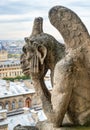 Chimera of the Cathedral of Notre Dame de Paris overlooking Paris