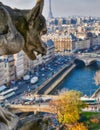 Chimera (Gargoyle) of the Cathedral of Notre Dame de Paris overlooking Paris on a beautiful sunny day Royalty Free Stock Photo