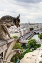 Chimera (gargoyle) of the Cathedral of Notre Dame de Paris Royalty Free Stock Photo