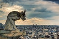 Chimera (gargoyle) of the Cathedral of Notre Dame de Paris Royalty Free Stock Photo