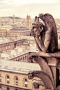 Chimera (gargoyle) of the Cathedral of Notre Dame de Paris Royalty Free Stock Photo