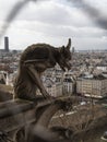 Chimera gargoyle mythical figure statue sculpture gothic architecture at Notre Dame cathedral church tower Paris France Royalty Free Stock Photo