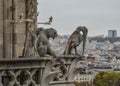 Chimera Gargoyle of Notre Dame de Paris