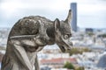 Chimera Gargoyle of Notre Dame de Paris