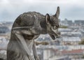 Chimera Gargoyle of Notre Dame de Paris