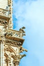 Chimera and gargoyles from the Gallery of gargoyles and chimeras.Notre-Dame de Paris.Paris.France Royalty Free Stock Photo