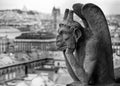 Chimera or grotesque in black and white on Basilica of Notre Dam