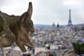 Chimera looks at the rooftops of Paris from the Notre Dame de Paris Cathedral