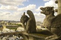 Chimera from Notre Dame Cathedral