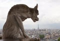 Chimera on Notre-Dame Royalty Free Stock Photo