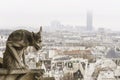 Chimera of the Notre-Dame of Paris cathedral France - horizont Royalty Free Stock Photo