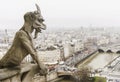 Chimera of the Notre-Dame of Paris cathedral France - horizont Royalty Free Stock Photo