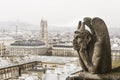 Chimera of the Notre-Dame of Paris cathedral France - horizont Royalty Free Stock Photo