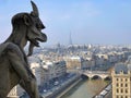 Chimera stone statue in aerial cityscape from Notre Dame cathedral