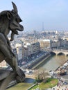 Chimera stone statue in aerial cityscape from Notre Dame