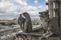 Chimere of Notre-Dame overlooking Paris Royalty Free Stock Photo