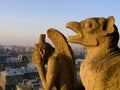 Chimeres watching over Paris. Royalty Free Stock Photo