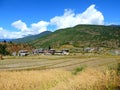 Rice fields enroute Chimi Lhakhang, Bhutan Royalty Free Stock Photo
