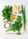 Chimichurri basic ingredients Royalty Free Stock Photo