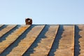 Chimney on an obsolete tinny roof Royalty Free Stock Photo