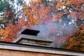 Chimney of an outdoor bread oven pictured in autumn