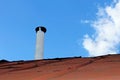 Chimney pipe over the old tinny roof Royalty Free Stock Photo