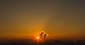 Chimneys and dark smoke over factory at sunset Royalty Free Stock Photo