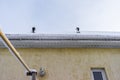 Chimneys on the roof. the roof of a private house