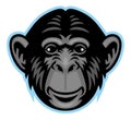 Chimp head