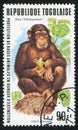 Chimpanze