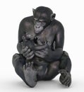 Chimpanzee babysitting