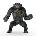 Chimpanzee in a combative pose Royalty Free Stock Photo