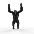 Chimpanzee with hands up in swinging pose