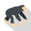 Chimpanzee, icon, flat style