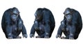 Chimpanzee isolated on a white Royalty Free Stock Photo