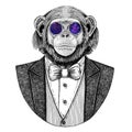Chimpanzee Monkey Hipster animal Hand drawn illustration for tattoo, emblem, badge, logo, patch, t-shirt