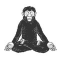 Chimpanzee monkey meditating sketch vector