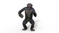 Chimpanzee monkey, primate ape shrieking, wild animal isolated on white background, 3D render