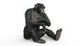 Chimpanzee monkey, primate ape sitting, wild animal isolated on white background, 3D render