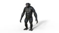 Chimpanzee monkey, primate ape standing, wild animal isolated on white background, 3D render